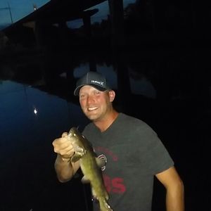 Meet your Posher, Ronnie